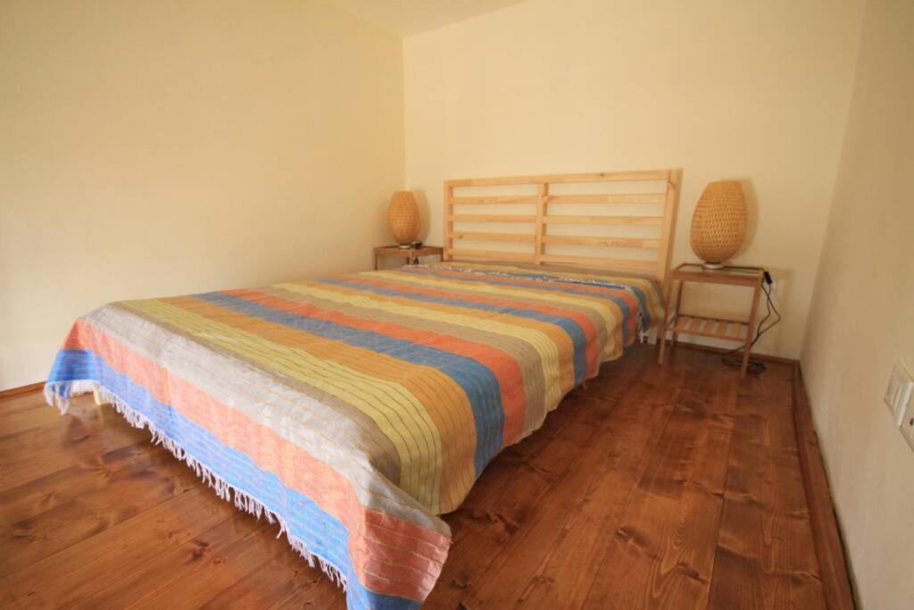Ferienwohnung Bilocale Fronte Mare Marina Di Pisa Exterior foto